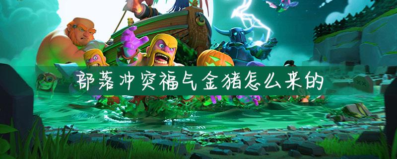 部落冲突福气金猪有啥用