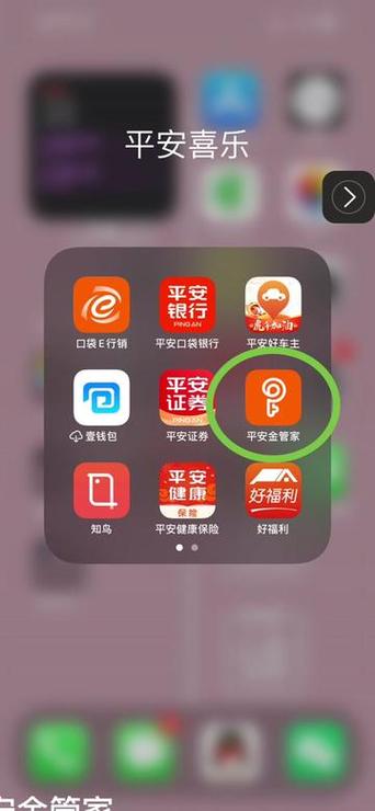 中国平安app金管家图标