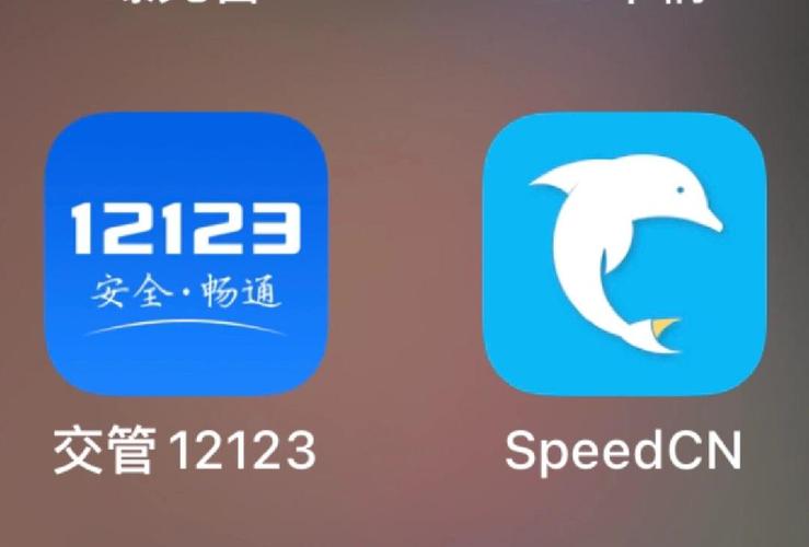 speedcn官方下载图标