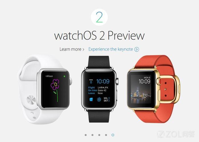 apple watch 激活锁图标
