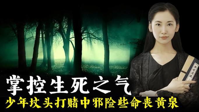 张昭墓是阴气最重的地方吗游戏截图