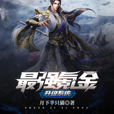 《最强氪金升级系统》