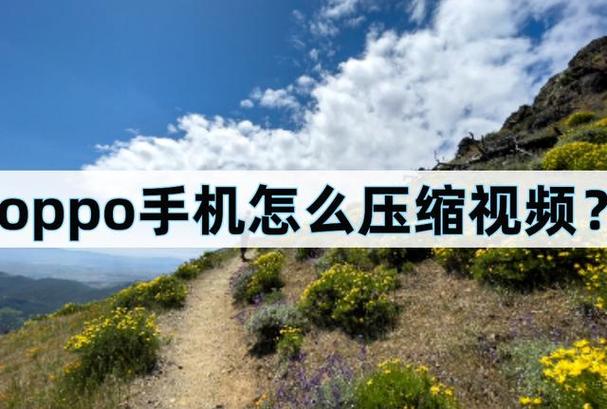 OPPO压缩文件在哪