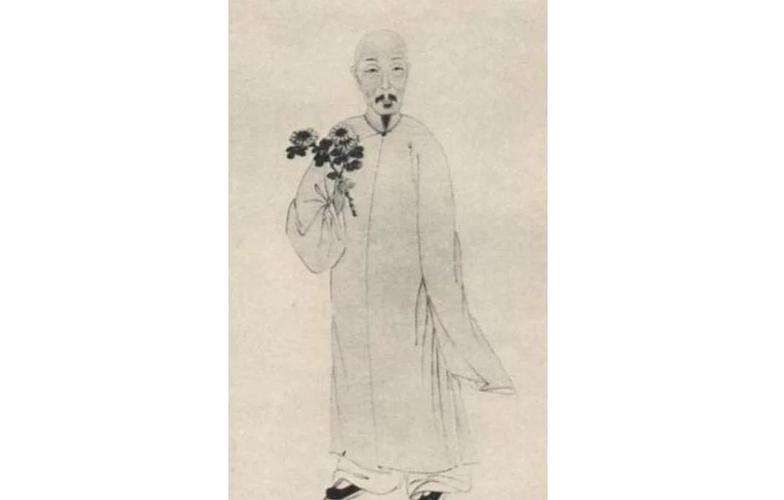 替嫁男妃by段玉裁