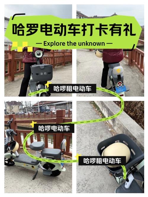 哈啰电动车怎么收费标准游戏截图