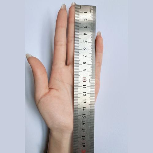 日本手长比较模拟器