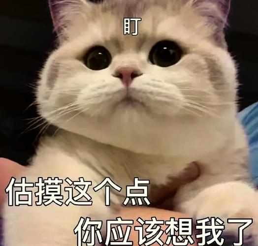 逗男朋友的套路表情包