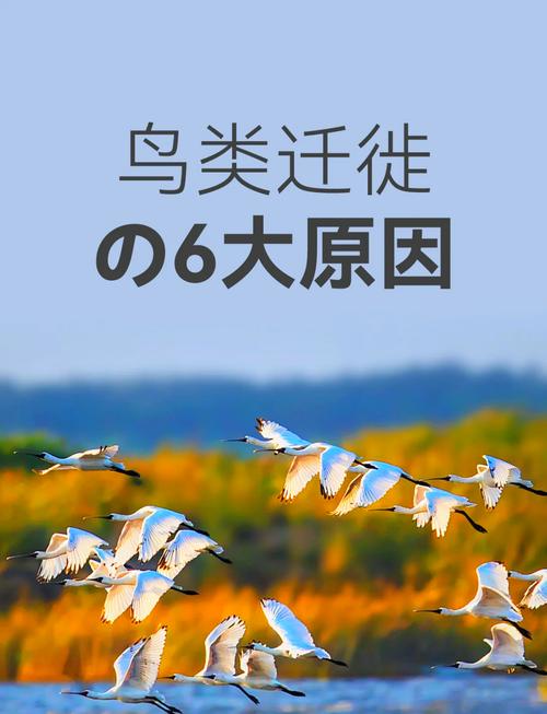 网易云如何找到QQ好友缩略图