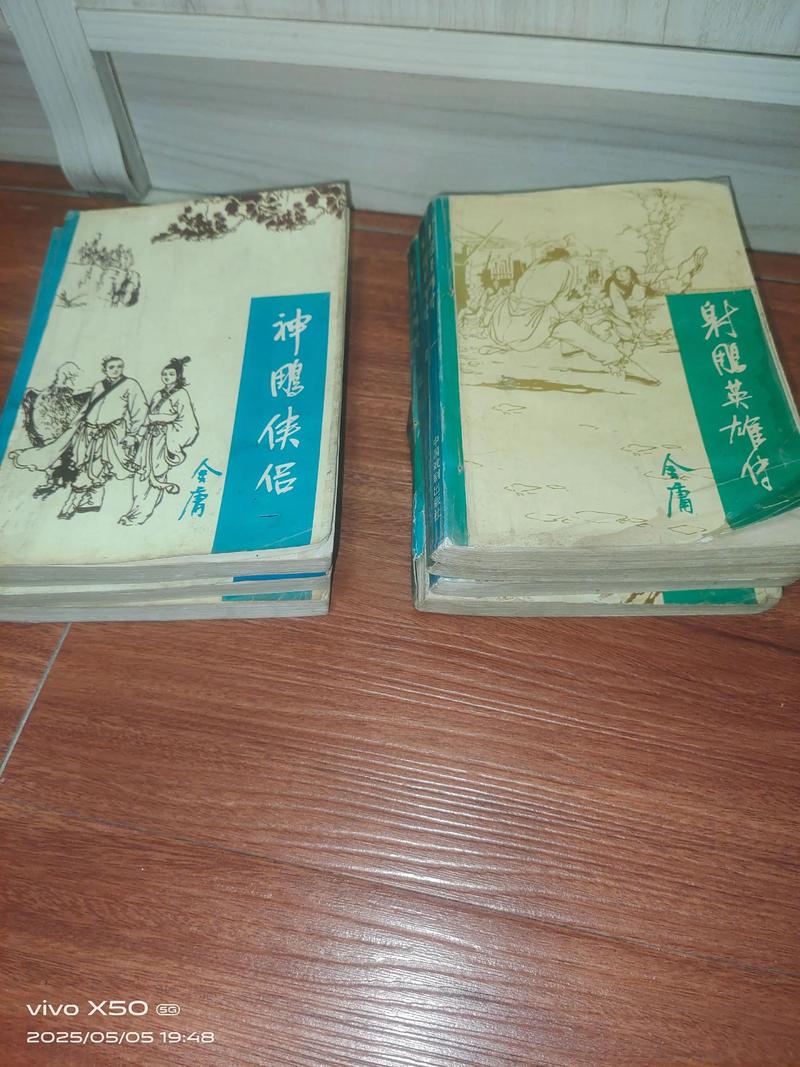 绝色神雕小说缩略图