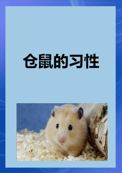 仓鼠死了有病毒吗