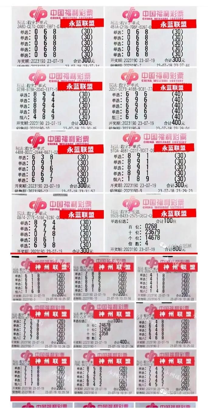 锦州凌海太阳红焰舞字谜2019