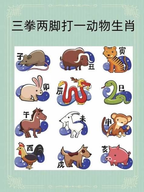 追的三大生肖
