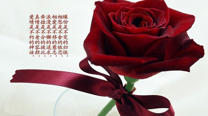 形容粉玫瑰花的唯美短句