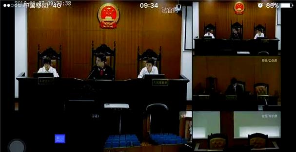 公开庭审直播