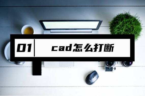 CAD打不开最简单三个步骤截图