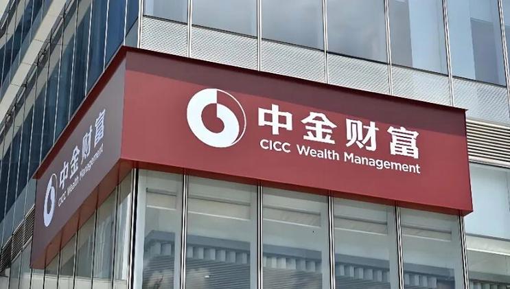 中金集团是干什么的