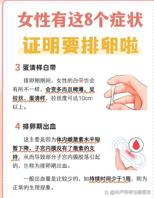 左排卵和右排卵的区别