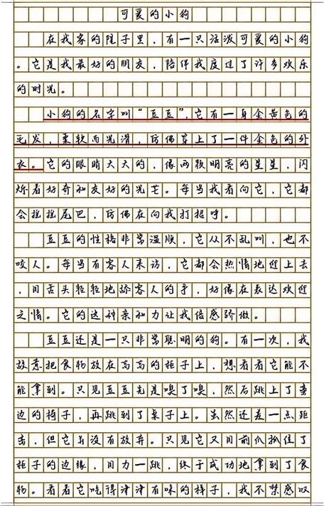 观察《小狗》