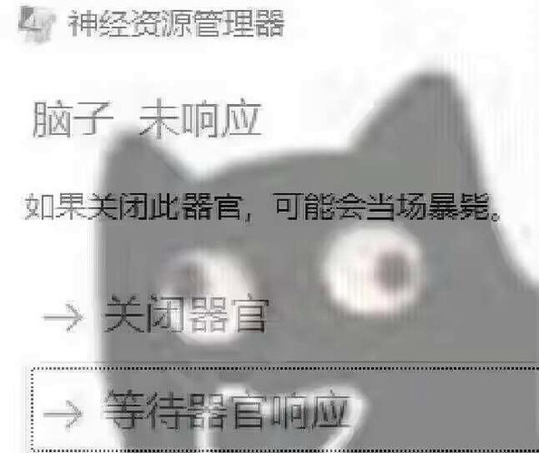 未响应exe表情包