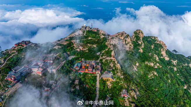泰安泰山网