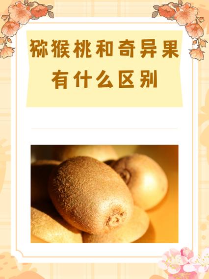 奇异果与猕猴桃有啥区别截图