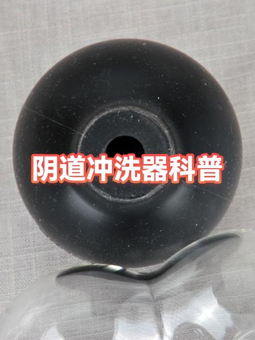 女性冲洗器多久洗一次游戏截图
