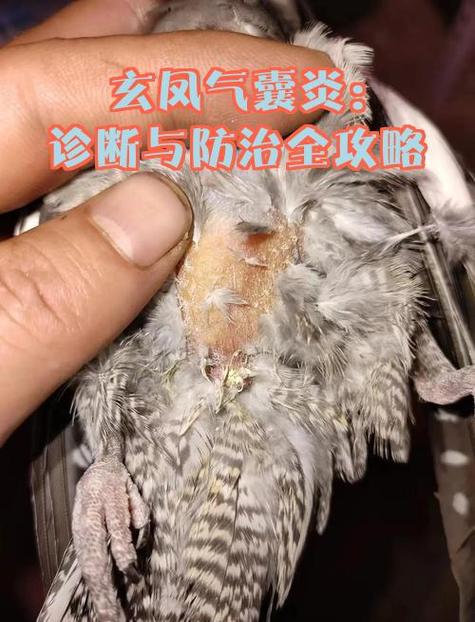鹦鹉生病的症状及治疗图标