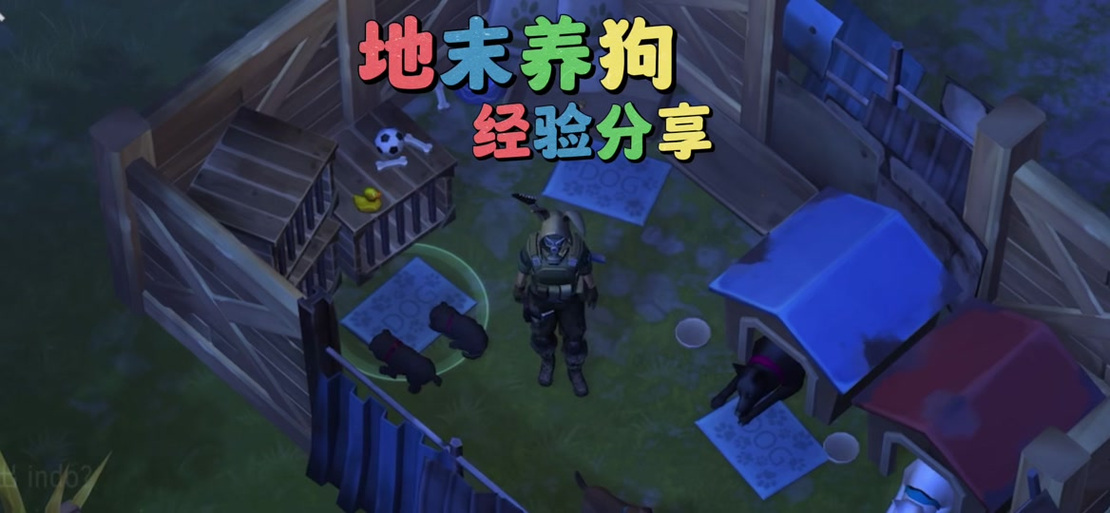地球末日生存怎么养狗