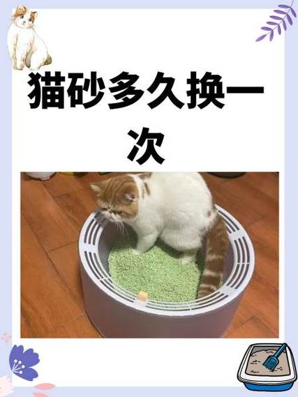 猫砂一个月换一次可以吗