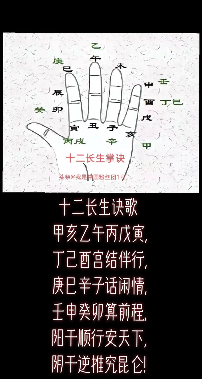 十二长生掌诀图