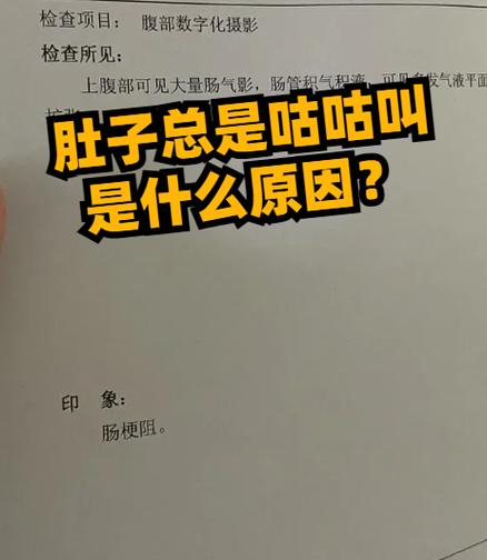 肚子咕咕叫还放屁是怎么回事游戏截图