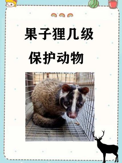 一级保护动物名录