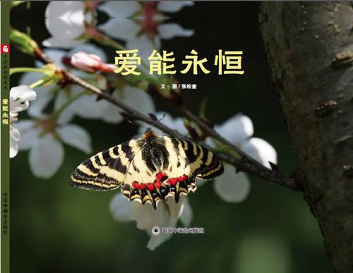 爱能社是正规的吗