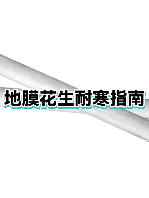 种花生需要地膜吗