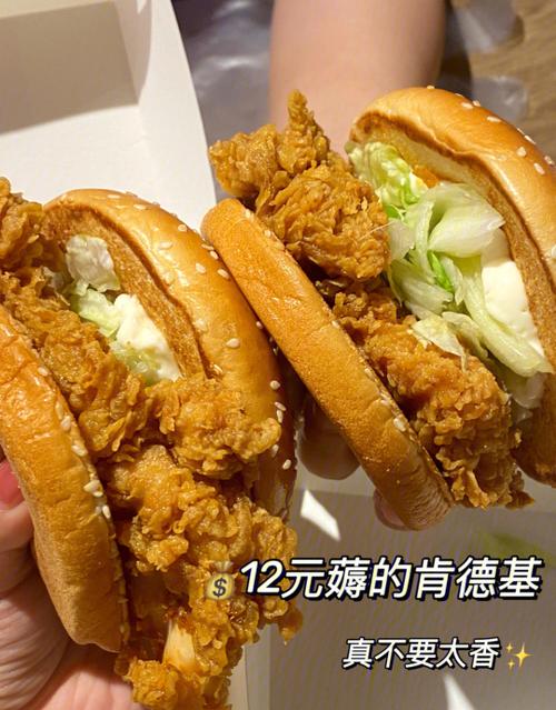 苹果手机怎么登录不了肯德基网络截图