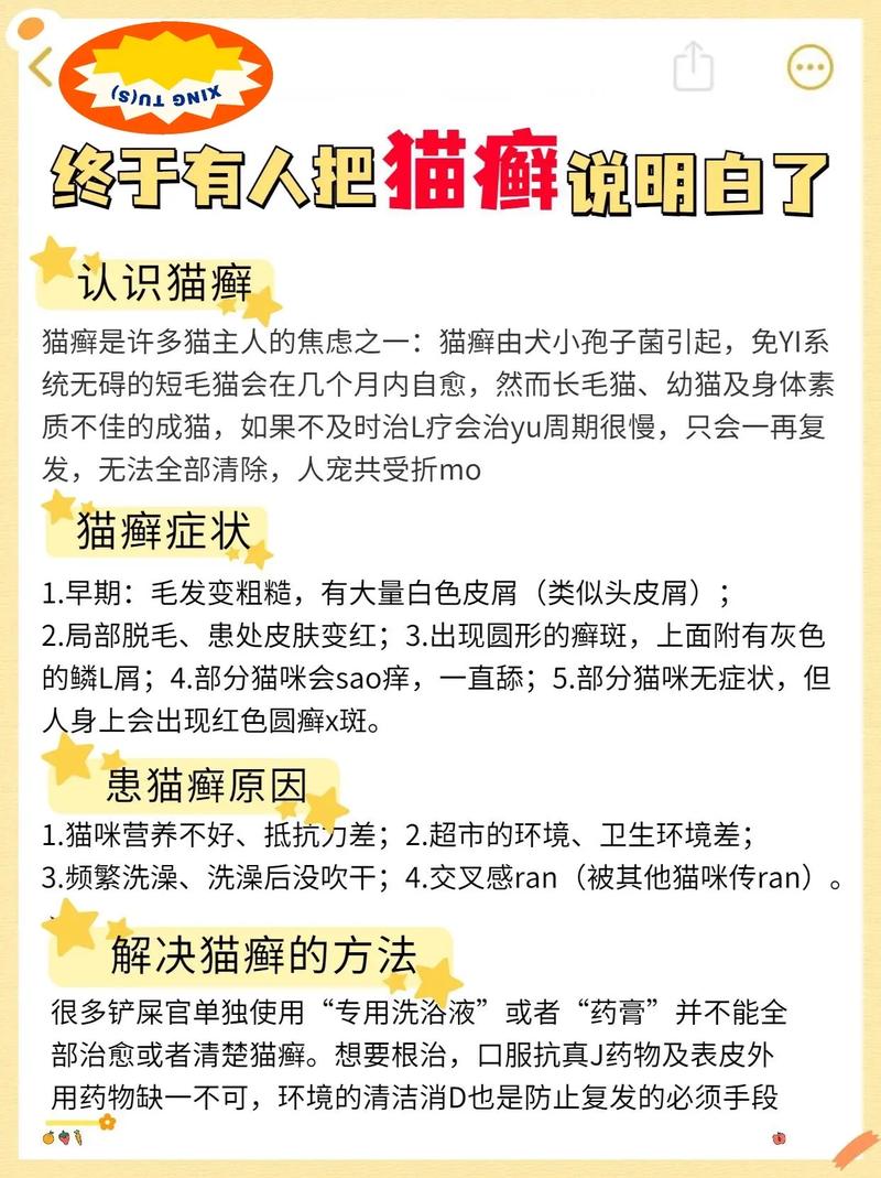 猫咪得了猫癣去药店买什么药缩略图