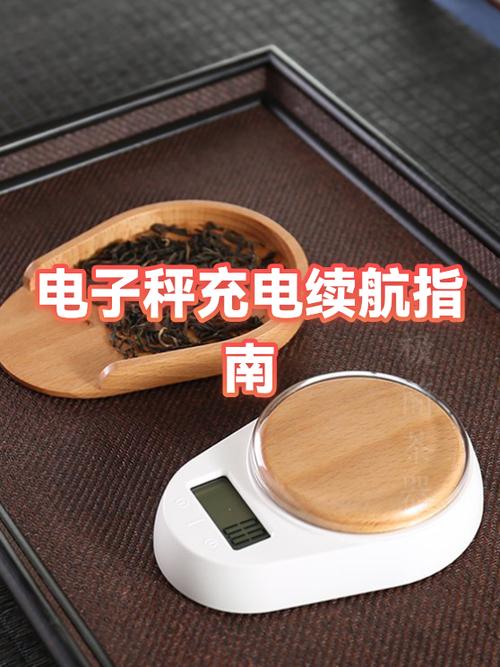 电子秤充几个小时能充满电