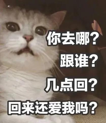 猫咪去哪了怎么过