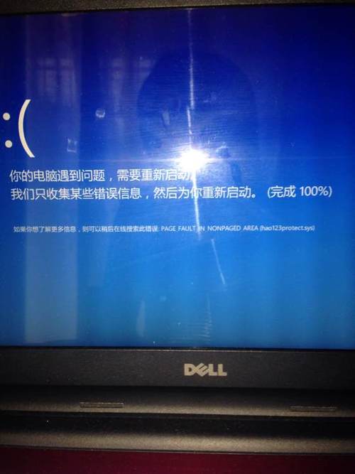 戴尔进pe蓝屏