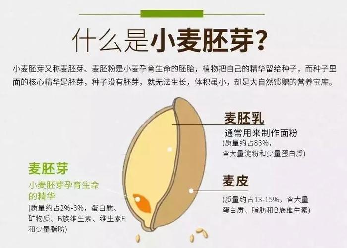 麦芽孕育APP图标