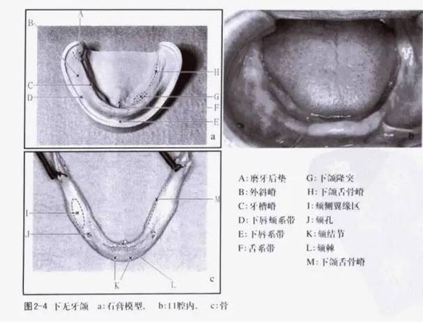 取模符号截图