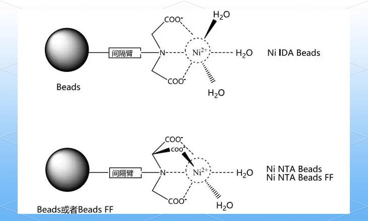 amphetamine深层含义缩略图