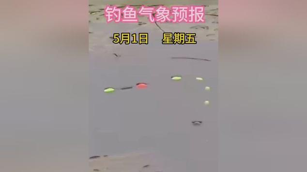 钓鱼气象预报app下载游戏截图