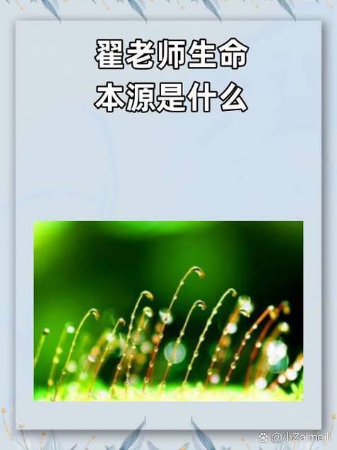 生命的本源是什么?
