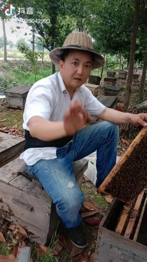 长期招养蜂学徒