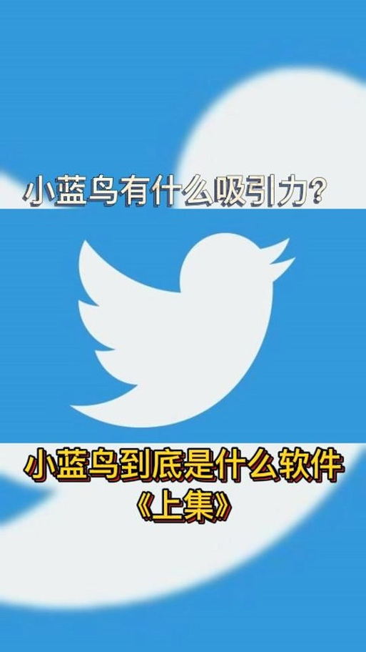 推特打不开闪退是怎么回事