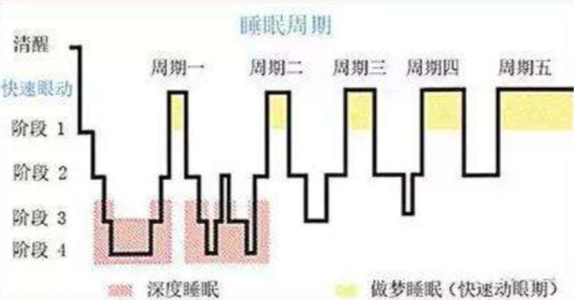 睡眠阶段划分图标