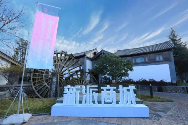 新派商城最新动态截图