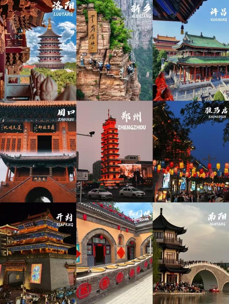河南社保认证图标
