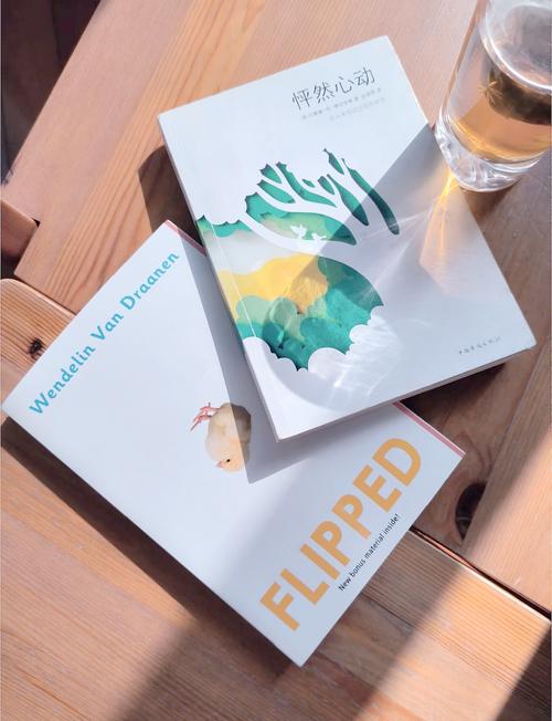 flipped小说中文版百度云游戏截图